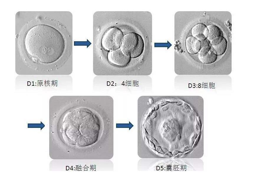 微信图片_20250613092714.png