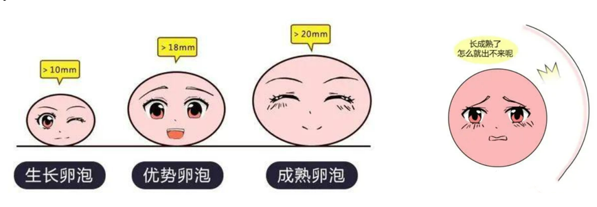 微信图片_2026-05-10_112409_368.png